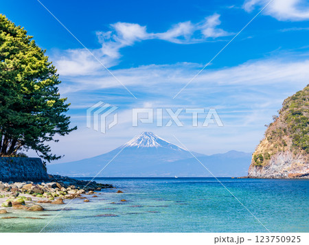 【静岡県】西伊豆戸田港から見る富士山富士山 123750925