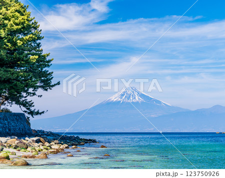 【静岡県】西伊豆戸田港から見る富士山富士山 123750926
