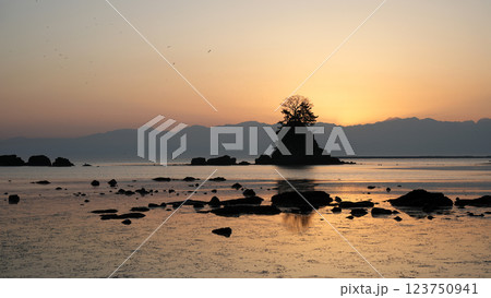 雨晴海岸の夜明け 123750941
