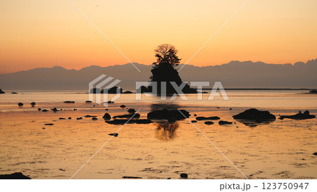 雨晴海岸の夜明け 123750947