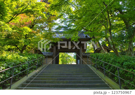 【鎌倉市】円覚寺の総門 123750967