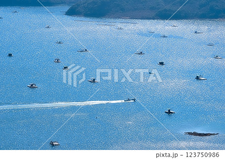 鳴門スカイラインから鳴門海峡を眺める 123750986