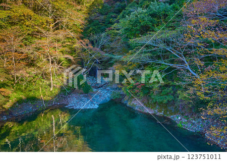 秋の神奈川県山北町の丹沢湖北岸のヘイロク沢の滝 123751011