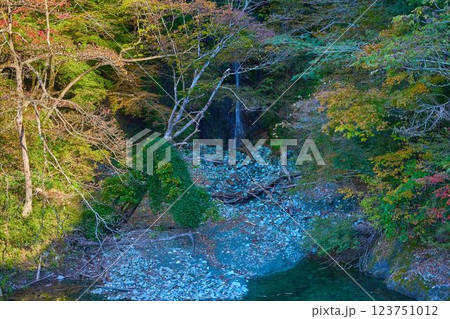 秋の神奈川県山北町の丹沢湖北岸のヘイロク沢の滝 秋の神奈川県山北町の丹沢湖北岸のヘイロク沢の滝 123751012