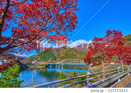 秋の神奈川県足柄上郡山北町の丹沢湖から西側(大仏大橋方面)の風景 秋の神奈川県足柄上郡山北町の丹沢湖から西側(大仏大橋方面)の風景 123751015