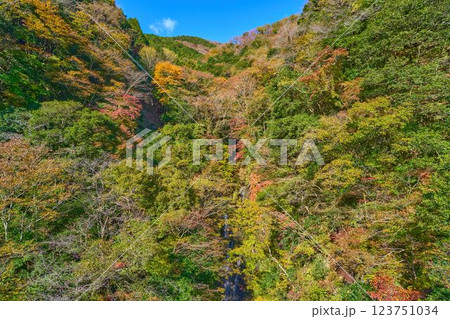 秋の神奈川県山北町の丹沢湖北西岸の滝壺橋から滝壺沢の滝を紅葉と共に見る 秋の神奈川県山北町の丹沢湖北西岸の滝壺橋から滝壺沢の滝を紅葉と共に見る 123751034