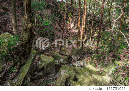 交野の名所　尺治の翠影　尺治川　大阪府交野市 123751063
