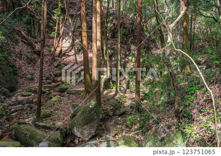 交野の名所　尺治の翠影　尺治川　大阪府交野市 123751065