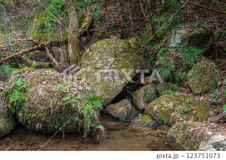 交野八景 尺治の翠影 尺治川 大阪府交野市 交野八景 尺治の翠影 尺治川 大阪府交野市 123751073