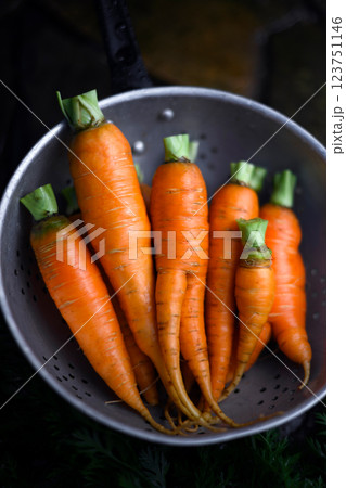 Just washed fresh carrots on metal colander close up Just washed fresh carrots on metal colander close up 123751146