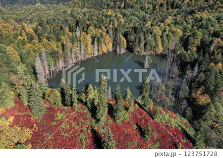 Footage of a forest decorated with autumn colors and their reflections in a lake. 123751728