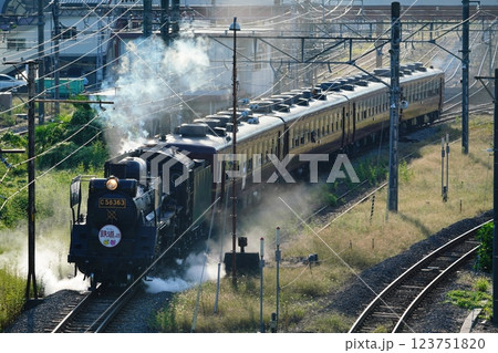 SLパレオエクスプレス SLパレオエクスプレス 123751820