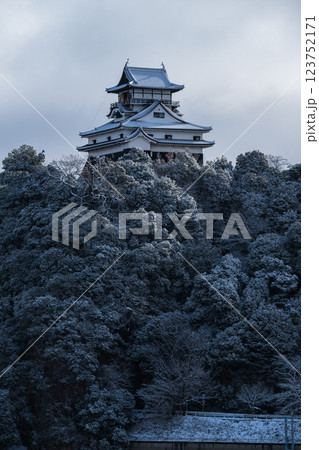 雪化粧した犬山城 雪化粧した犬山城 123752171