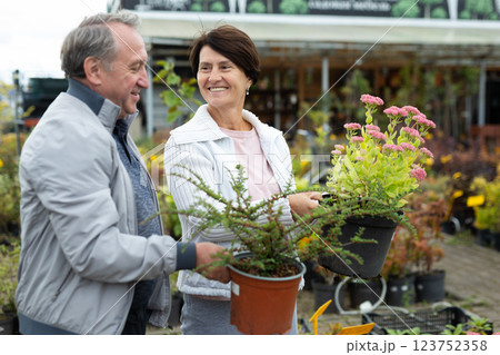 Elderly man and woman buy dogwood and sedum plants at an open market Elderly man and woman buy dogwood and sedum plants at an open market 123752358