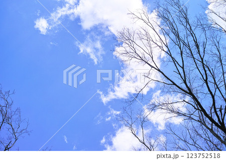 青空と雲イメージ 青空と雲イメージ 123752518