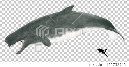 古抹香鯨利維坦‧梅爾維爾：哺乳動物史上擁有最大、最長牙齒的巨型動物 123752943