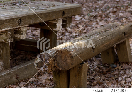 落ち葉に埋もれる公園の木製ベンチ 123753073