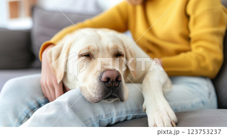A person lovingly cuddling with their dog on the couch, capturing the affectionate bond between pets and their owners on National Pet Day. A person lovingly cuddling with their dog on the couch, capturing the affectionate bond between pets and their owners on National Pet Day. 123753237
