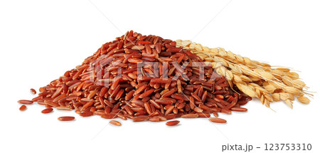 pile of red rice with ears isolated on white background pile of red rice with ears isolated on white background 123753310