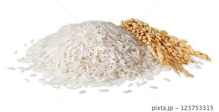 Pile rice with ears isolated on white background Pile rice with ears isolated on white background 123753315