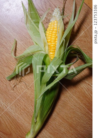 収穫したトウモロコシ 123753386