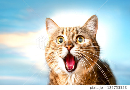 驚いて大きく口を開ける実在しない猫 123753528