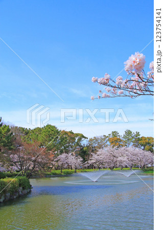 愛知県名古屋市、名城公園御深井池と桜の風景 愛知県名古屋市、名城公園御深井池と桜の風景 123754141