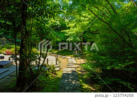 新緑に包まれる金福寺 123754208