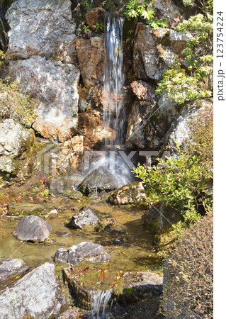 仁和寺の北庭の滝 123754224