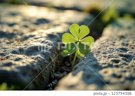 Lucky four-leaf clover growing among rocks for St. Patrick Day. AI generated Lucky four-leaf clover growing among rocks for St. Patrick Day. AI generated 123754386