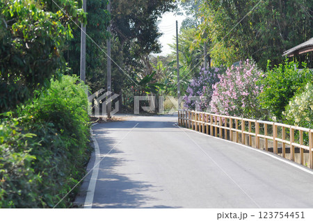 road or street and tree ,canal 123754451
