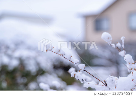 水っぽい春の雪の日 水っぽい春の雪の日 123754557