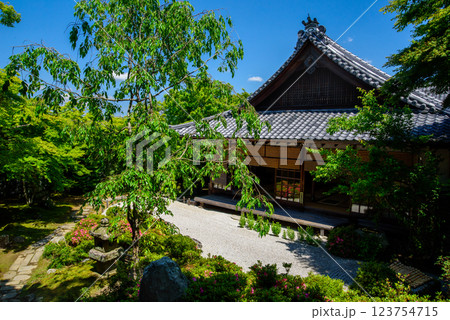 新緑に包まれる金福寺 123754715
