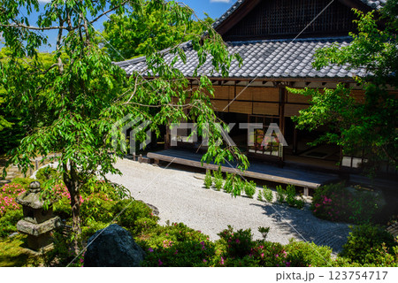 新緑に包まれる金福寺 123754717