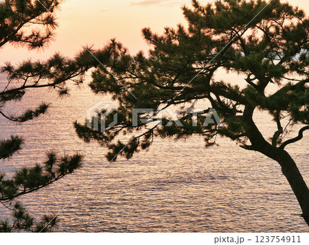 鹿児島県瀬平自然公園の夕景 鹿児島県瀬平自然公園の夕景 123754911