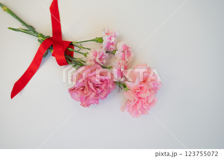 赤いリボンとカーネーション 123755072