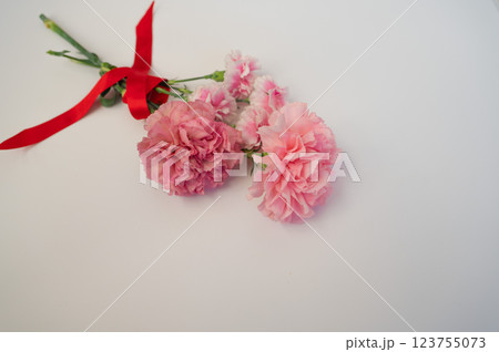 赤いリボンとカーネーション 123755073