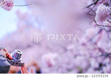 満開の桜とシャッターチャンス:春爛漫のフォトジェニックな風景 満開の桜とシャッターチャンス:春爛漫のフォトジェニックな風景 123755154