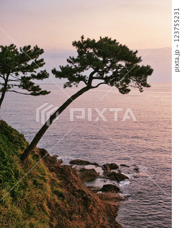 鹿児島県瀬平自然公園の夕景 鹿児島県瀬平自然公園の夕景 123755231