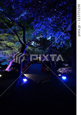 由志園のイルミネーション 123755296