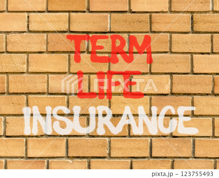 Term life insurance symbol. Concept words Term life insurance on beautiful brown brick wall. Beautiful brown brick wall background. Business term life insurance concept. Copy space. 123755493