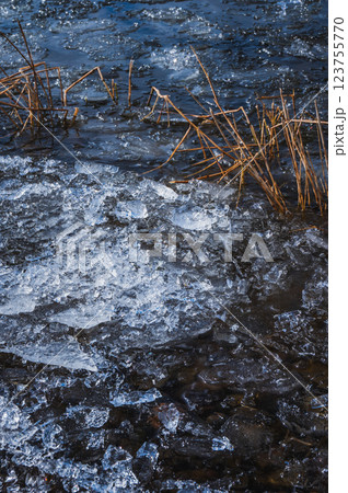 湖岸で輝く氷片【諏訪湖】 湖岸で輝く氷片【諏訪湖】 123755770