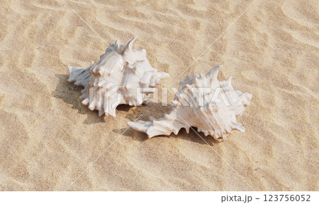 Sea Shells on the Beach with Sand. 3D Rendering 123756052