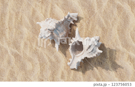 Sea Shells on the Beach with Sand. 3D Rendering 123756053