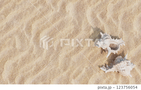 Sea Shells on the Beach with Sand. 3D Rendering 123756054