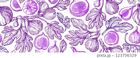 Fig fruits pattern Vector hand drawn fruit Vintage 123756329