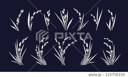 Rice plant, white grain. Vector silhouette set 123756334