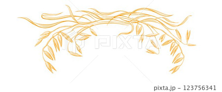 Oats plant, art grain. Vector texture symbol Wheat Oats plant, art grain. Vector texture symbol Wheat 123756341
