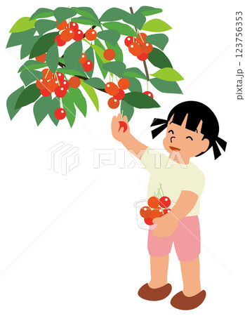 サクランボ狩りをする子どものイラスト02さくらんぼを摘んでいる小さい女の子 123756353