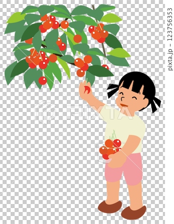 サクランボ狩りをする子どものイラスト02さくらんぼを摘んでいる小さい女の子 123756353